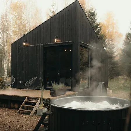 Briezu Stacija Off Grid Cabin Ligatne Exterior photo