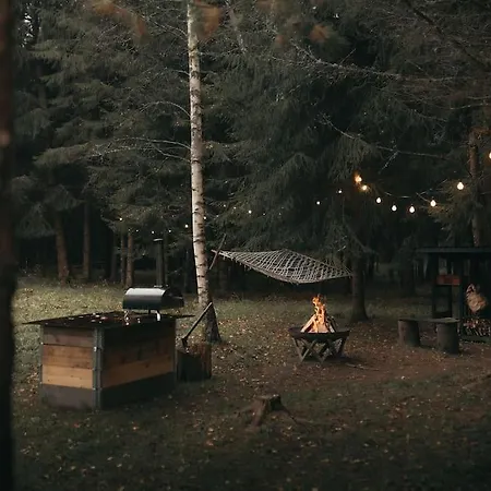 Briezu Stacija Off Grid Cabin Ligatne Exterior photo